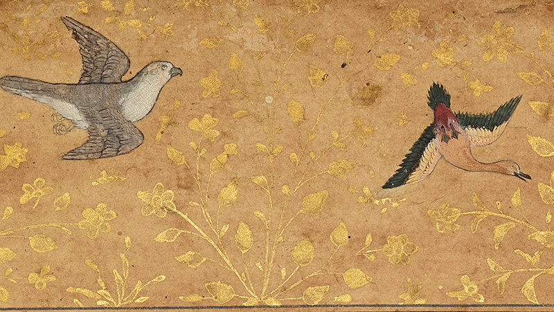 A detail of a manuscript painting showing a grey and white bird and a green, red and brown bird.
