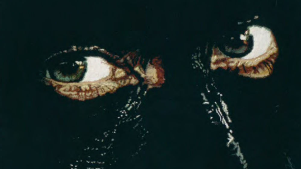 A close-up of a rug design shows two green eyes looking out of a blackened face.