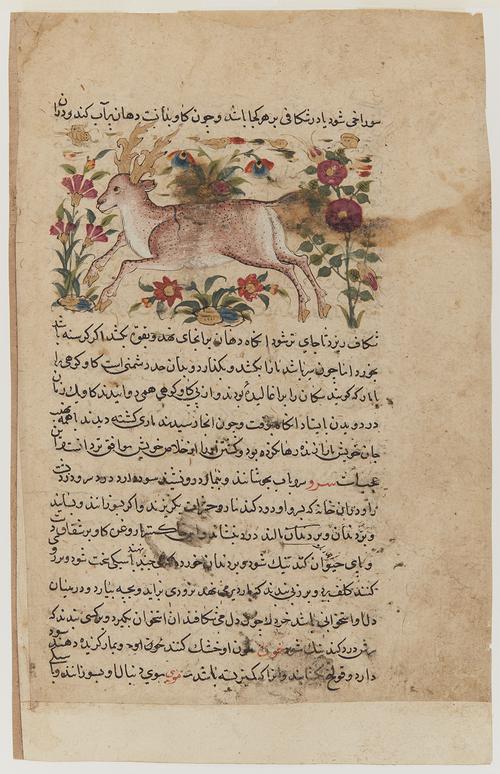 Paper page with 13 lines of text, after the first line a painting of a brown speckled stag with gold antlers and hooves,  with pink, orange and blue flowers on green leafy plants sprout from stones surrounding the animal.